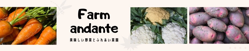 farm andante 　珍しい野菜、農薬不使用で野菜を栽培しています。