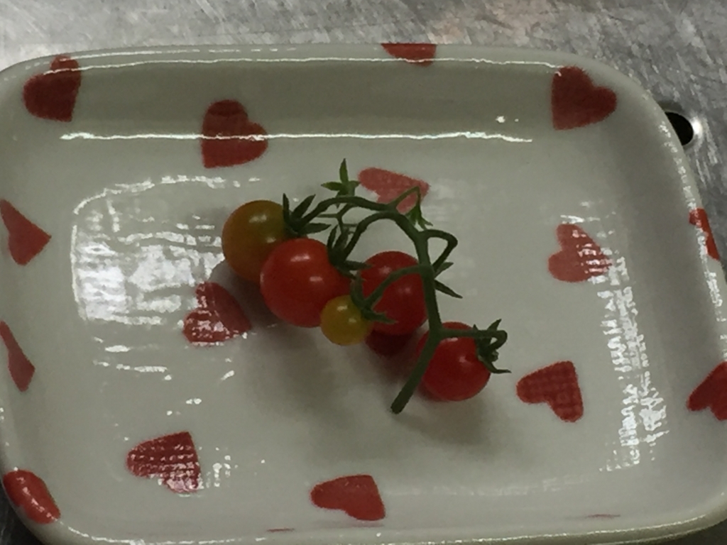 f:id:andantesunny:20180608091448j:plain