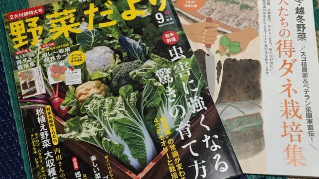 今日は野菜の日です 明日から9月 菜園の計画が中途半端で焦ります Farm Andante 珍しい野菜 農薬不使用で野菜を栽培しています